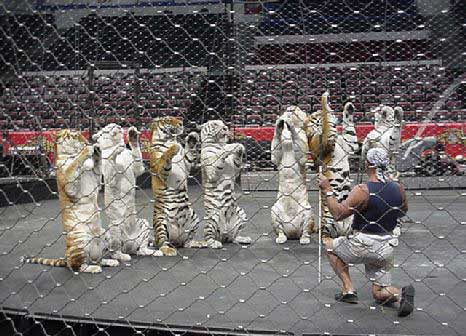 Board of Directors Board of Directors