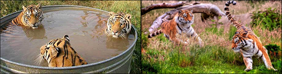 Hanging out and having a good time Hanging out and having a good time